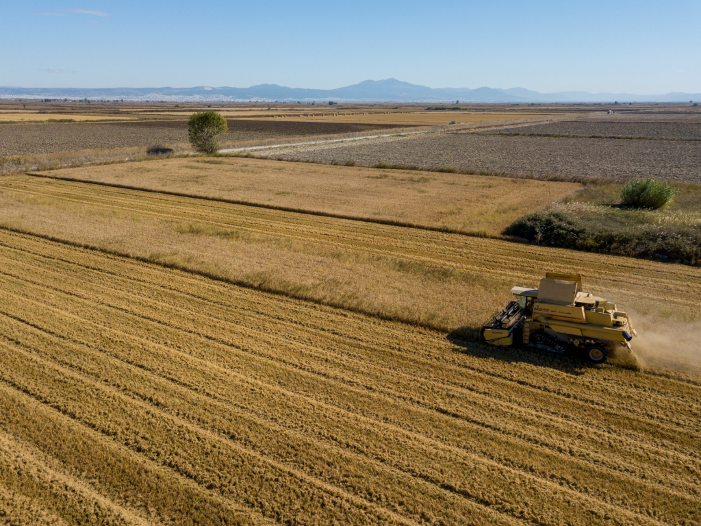 European Rice programme: Creating content, October 2020